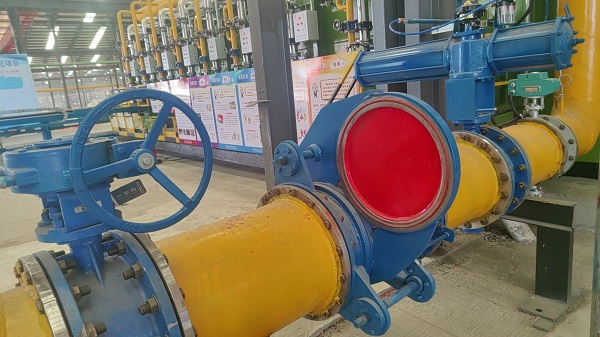 25米*3.6米生物质气步进底式加热炉